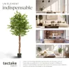 Ficus artificiel FIDA à l'aspect naturel - 180 cm Voir les images du produit 7