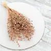 Flachs Getrocknete - (Leinen) - Hellrosa Produktbild-Vorschau 7