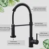 A black kitchen faucet with labels pointing out its features, set against a light gray background with green leaves. Náhled obrázku produktu