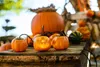 Halloween LED pohádková světla Dýně 3D, 4,5 m dýně lucerny Náhled obrázku produktu 5