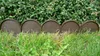 Gartenzaun Wellen IKRA | Braun Produktbild-Vorschau 7