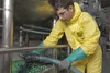 Schutzanzug Maleranzug Asbest overall Arbeitsoverall Gelb Produktbild-Vorschau 2