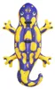 Bestway® Flotteur Splashing Salamander™ 191 x 119 cm Voir les images du produit 5