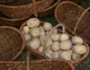 MIKONI Gemüsekorb 36 cm mit Griff, Kartoffelkorb Erntekorb Produktbild-Vorschau 5