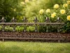 Beeteinfassung Gusseisen Produktbild-Vorschau