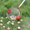 A nut collector tool is shown on a grassy lawn with many nuts scattered around it. Produktbild-Vorschau