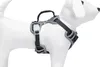 Beeztees Safety Gear Parinca Y-Geschirr - Hundegeschirr - Produktbild-Vorschau 9