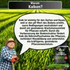 Greenyp Rasenkalk & Gartenkalk I 30kg / 600m² I fein Produktbild-Vorschau 7