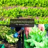 5 m de ruban de semences « Mélange de salades » (Lactuca Voir les images du produit 5