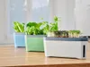 Gusta Garden HARRY HERBS samozavlažovací truhlík s víkem Náhled obrázku produktu 22