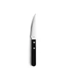 Amefa 6-tlg. Steakmesser Set PIZZA Produktbild-Vorschau 4