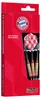 BULL'S FC Bayern München Brass Steel Dart - 21g -- 1 Satz Produktbild-Vorschau 3