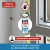 Veddelholzer 500 ml Spinnen Abwehrspray Anti-Spinnenspray Produktbild-Vorschau 2