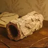 Korkröhre Naturkork Terrarium Höhle Reptilien Bartagame Produktbild-Vorschau 7
