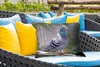 MuchoWow® Outdoor Kissen - Taube - Vogel - Lila - Federn - Produktbild-Vorschau 4