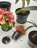 Garronda Blumentopf Untersetzer GD-0026 (1 Stück - Schwarz, Produktbild-Vorschau 7