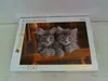 Clementoni 500 Pcs. Puzzle Kittens Produktbild-Vorschau 10