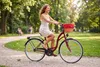Dallas Bike Damenfahrrad 28 Zoll - Mit Weidenkorb - 1-Gang Produktbild-Vorschau 3