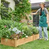 A woman watering plants in a raised garden bed. Produktbild-Vorschau