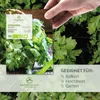 Koriandersamen - Küchenkräuter Saatgut aus biologischem Produktbild-Vorschau 2