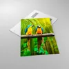 Bilder auf glas - Einteilig - Papageien Collorful Natur Produktbild-Vorschau 2
