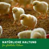 HÜHNER Land Feinkost Insektenmix 5 Liter I Mit Mehlwürmer & Produktbild-Vorschau 6