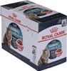 Royal Canin Hairball Care Gravy, Adult, jede Rasse, Muschel Produktbild-Vorschau 6