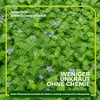 Gründüngung Nährstoffanreicherung 1 kg Produktbild-Vorschau 4