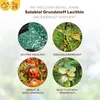 Solabiol® Grundstoff Lecithin für 21 Liter Spritzbrühe - Produktbild-Vorschau 5