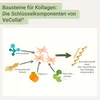 pro vás veganský kolagen - Waldfrucht Náhled obrázku produktu 8
