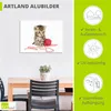 ARTland Wandbild Alu für Innen & Outdoor Kätzchen mit rotem Produktbild-Vorschau 4