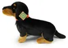 Bassotto Peluche Con Collare 36 Cm Ecologico Anteprima dell’immagine prodotto 3
