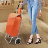 A person is pushing a shopping cart in what appears to be a store. Produktbild-Vorschau