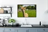 MuchoWow® MuchoWow® Gerahmtes Poster Baby - Alpaka - Gras Produktbild-Vorschau 3