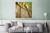MuchoWow® Poster Pfau - Federn - Zaun 75x75 cm - Wand Produktbild-Vorschau 5