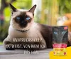 Josera 70gx16 Filet Huhn mit Rind Pouch Produktbild-Vorschau 6