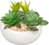 Künstliche fettpflanze zementtopf h10cm  - Atmosphera Produktbild-Vorschau 1