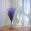 Federgras Getrocknete - (Stipa pennata) - Lavendel Produktbild-Vorschau 4