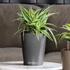 LECHUZA Pot à plantes Mini-DELTINI Premium Anthracite Voir les images du produit 8