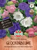 SPERLI Glockenblumensamen Gefüllte Campanula medium 100 Produktbild-Vorschau 1