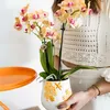 Kolibri Orchids – oranžová orchidej Phalaenopsis – výška 35 Náhled obrázku produktu 13