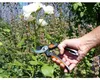 Garten PRIMUS Herren-Gartenschere Länge: 205 mm Produktbild-Vorschau 3