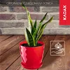 Plastový květináč KADAX "Amily", květináč s podšálkem. Náhled obrázku produktu 3