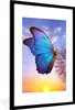 MuchoWow® Gerahmtes Poster Schmetterling - Sonnenuntergang Produktbild-Vorschau 1