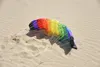 Lenkmatten Spiderkites Amigo 1,35 Rainbow 10005, dúhový, Náhľad obrázku produktu 4
