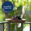 Lyra Pet® Vogelfutter Rosinen 10 kg für Wildvögel 100 % Produktbild-Vorschau 3