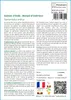 SAFLAX  - Dattier d'Inde - 4 graines - Avec substrat - Voir les images du produit 3