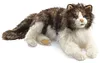Folkmanis Handpuppe wuschelige Katze 2558 Produktbild-Vorschau 1