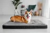 A corgi dog lying on a dog bed in a well-lit room. Produktbild-Vorschau