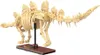 A model of a Stegosaurus skeleton made from building blocks, displayed on a stand. Voir les images du produit
